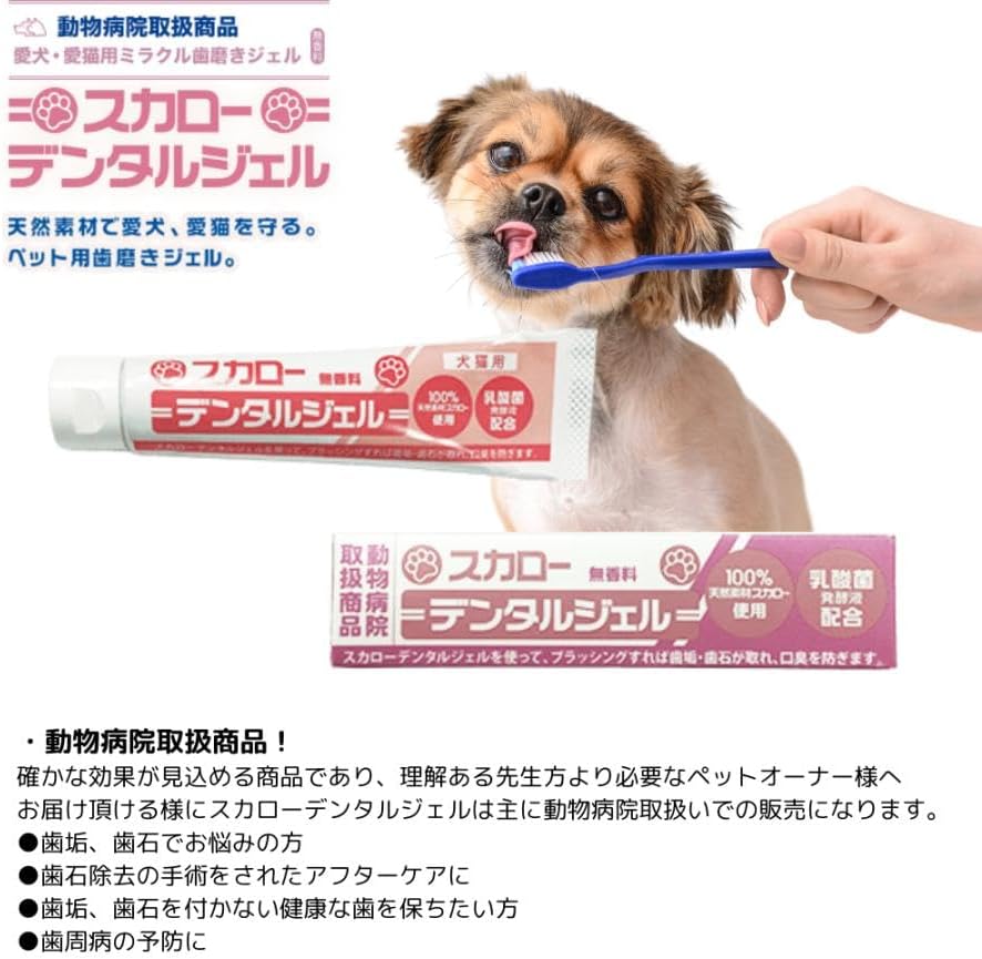 3個セット】スカローデンタルジェル 無香料 犬 歯磨き 40g×3 ペット用